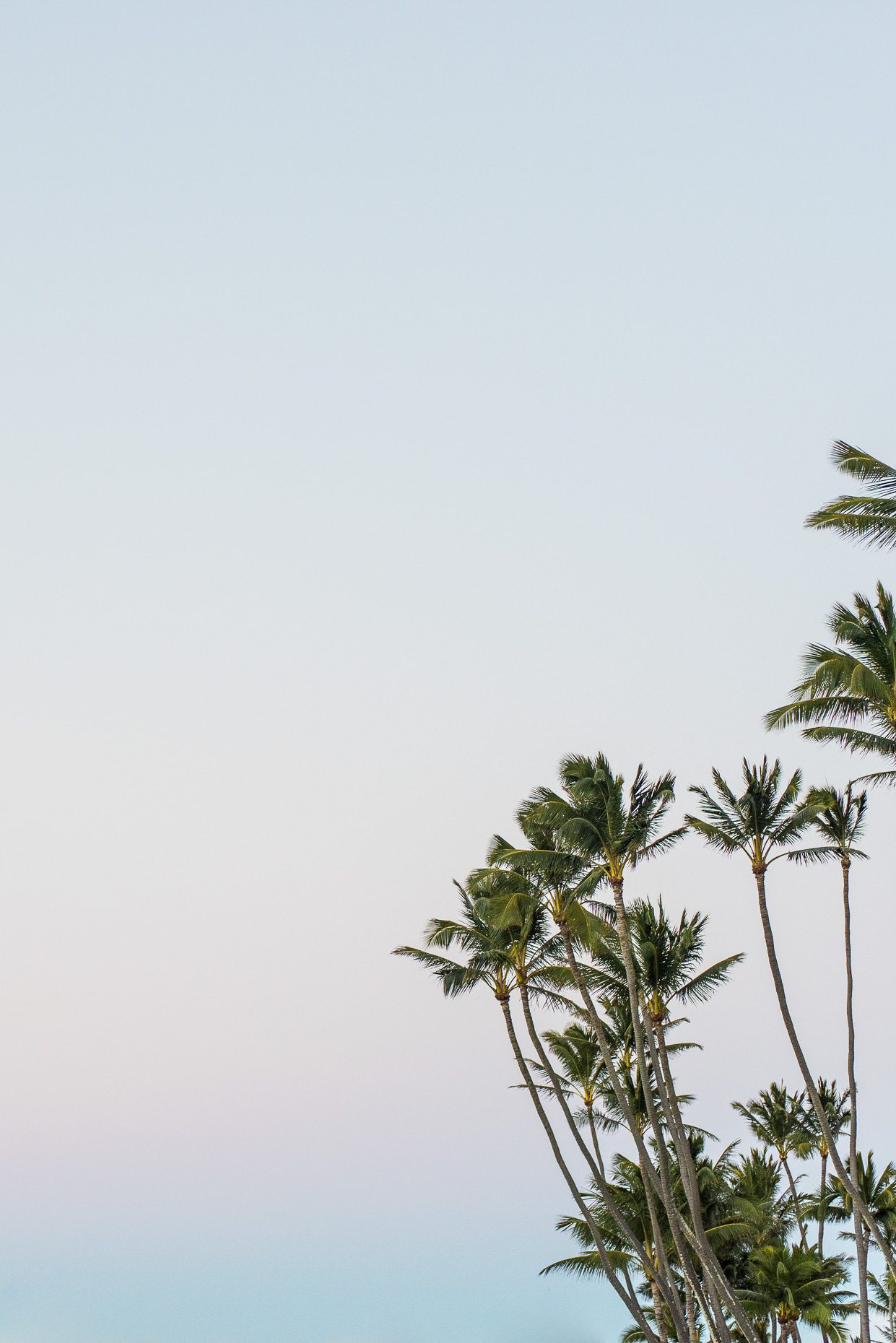 maui-8