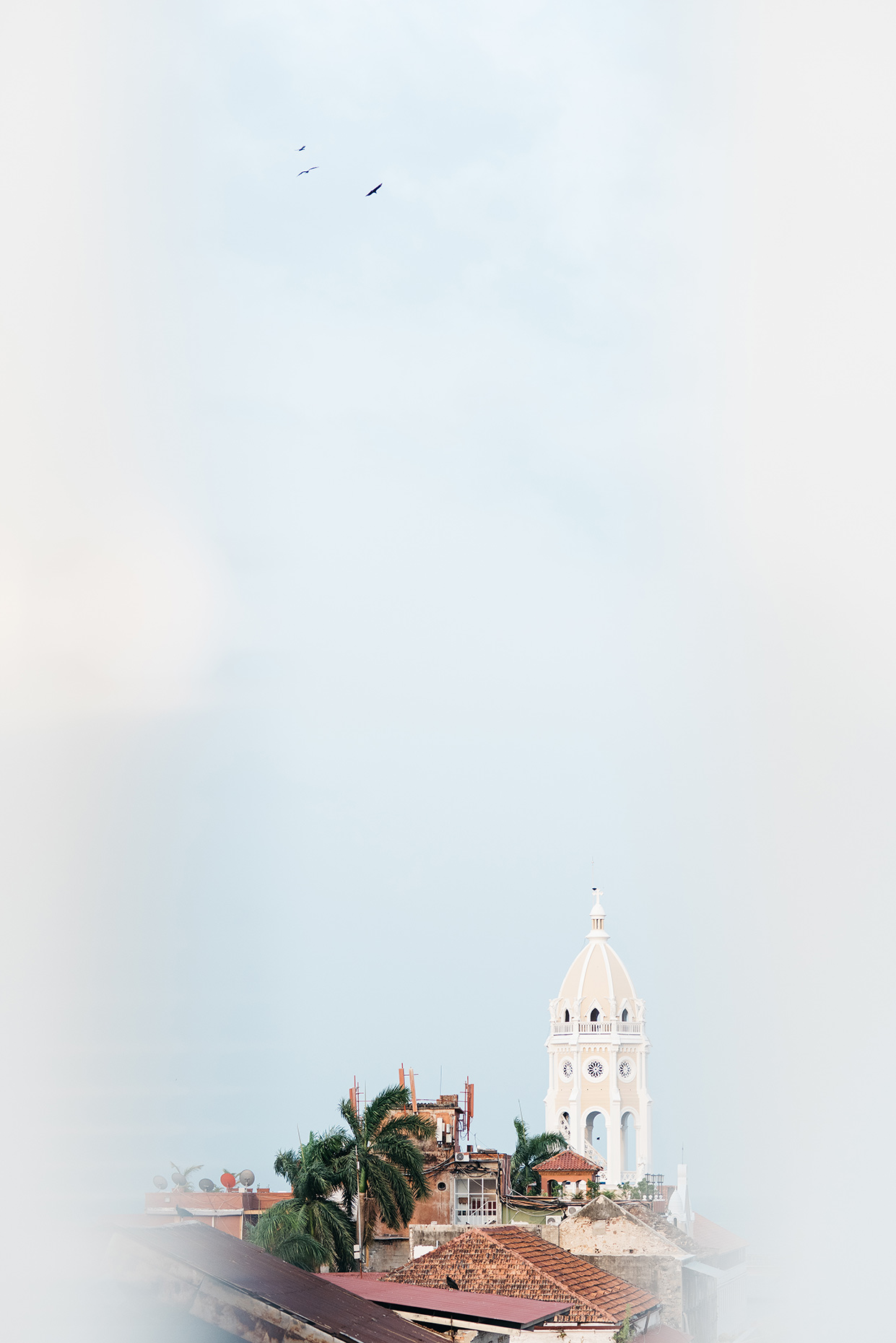 panama8