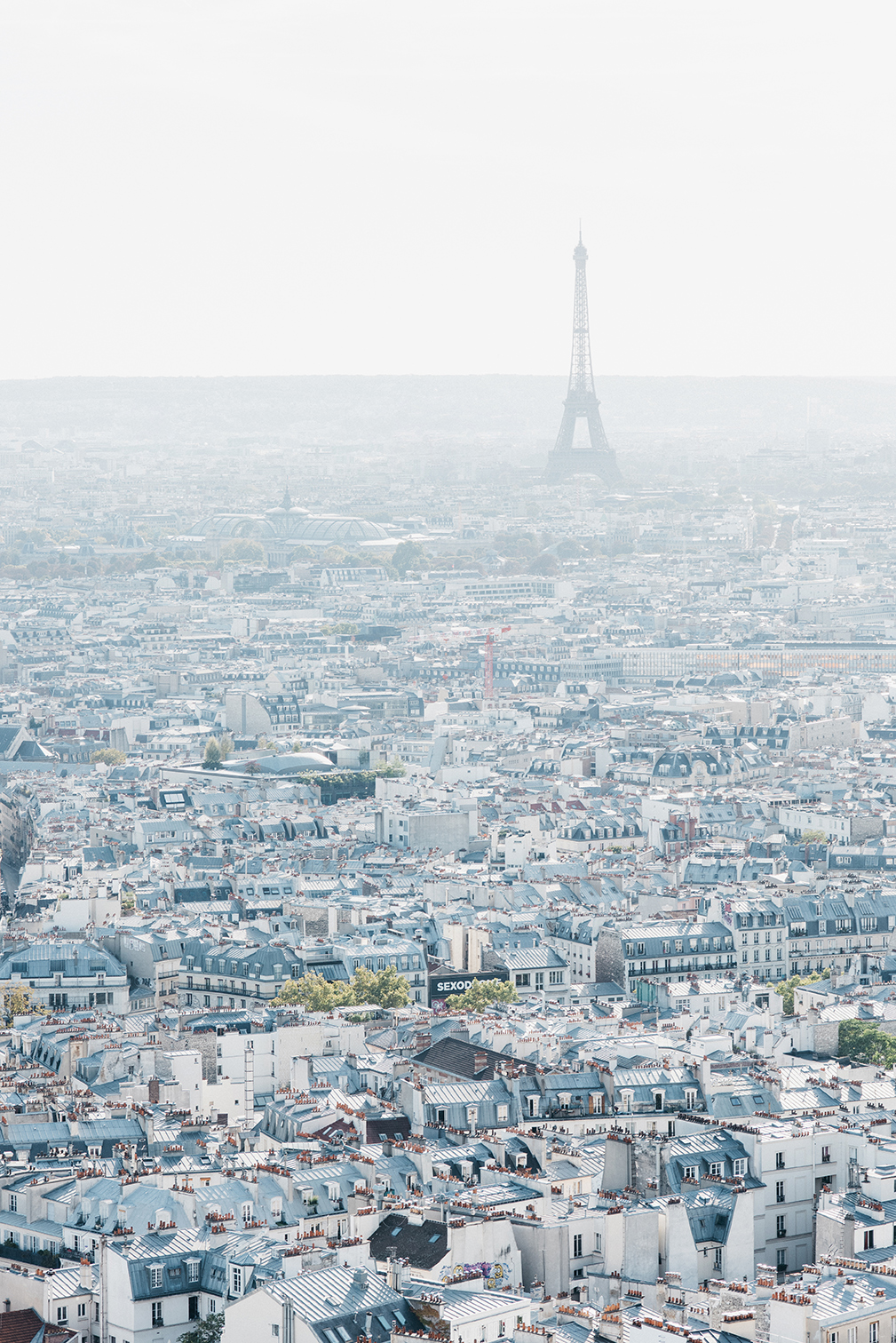 paris_vert_web